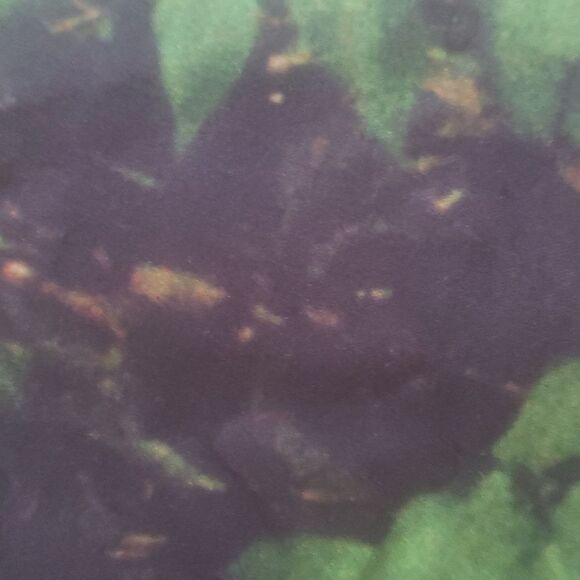 4@30.00 or 20.00 𝅺NWOT  Decorative Bottle Tree Banner - Picture 12 of 15